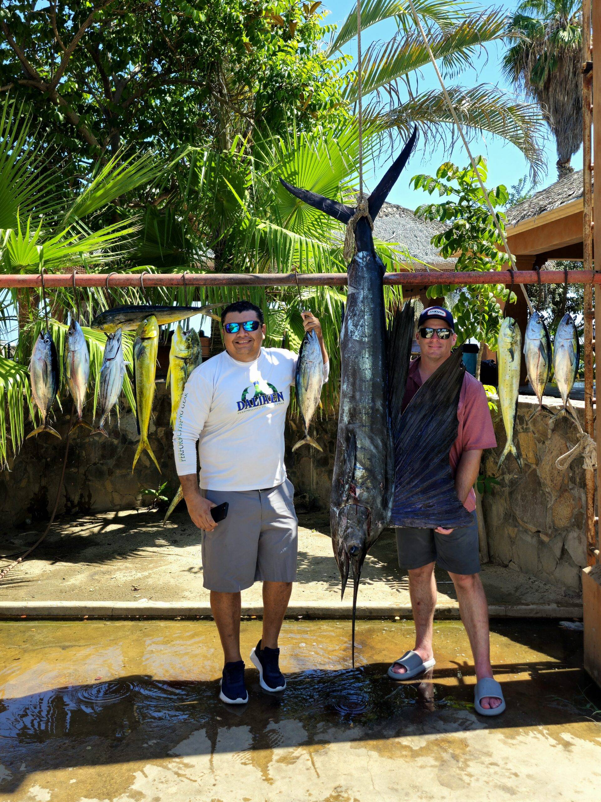 Sailfish leaping during the fight offshore Los Cabos