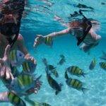 snorkeling san jose del cabo
