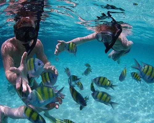 snorkeling san jose del cabo