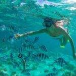 snorkeling san jpse del cabo