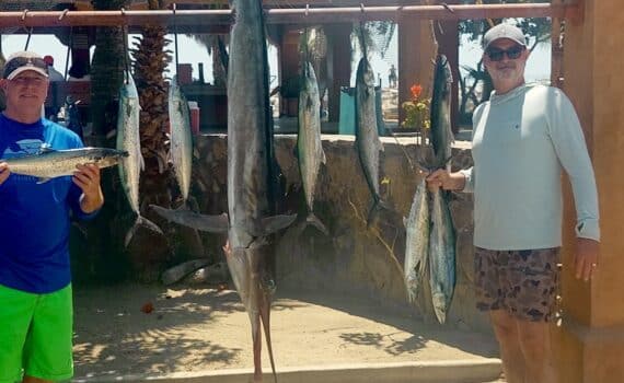 Sierras and Marlin fishing San José del cabo