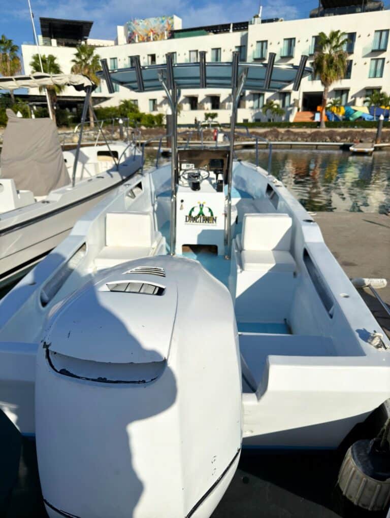 Traditional panga boat ready for charter in Baja