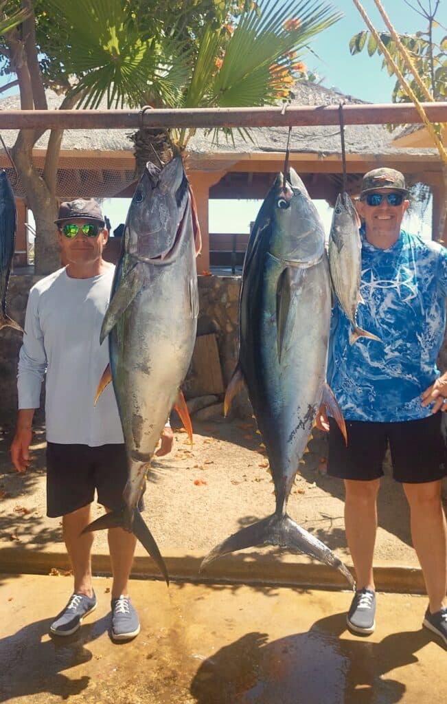 Tuna fishing San José del cabo