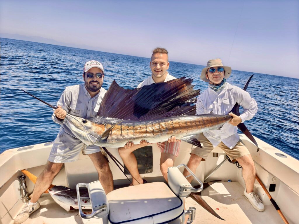 Pacific sailfish jumping during a morning fishing charter in Baja California Sur