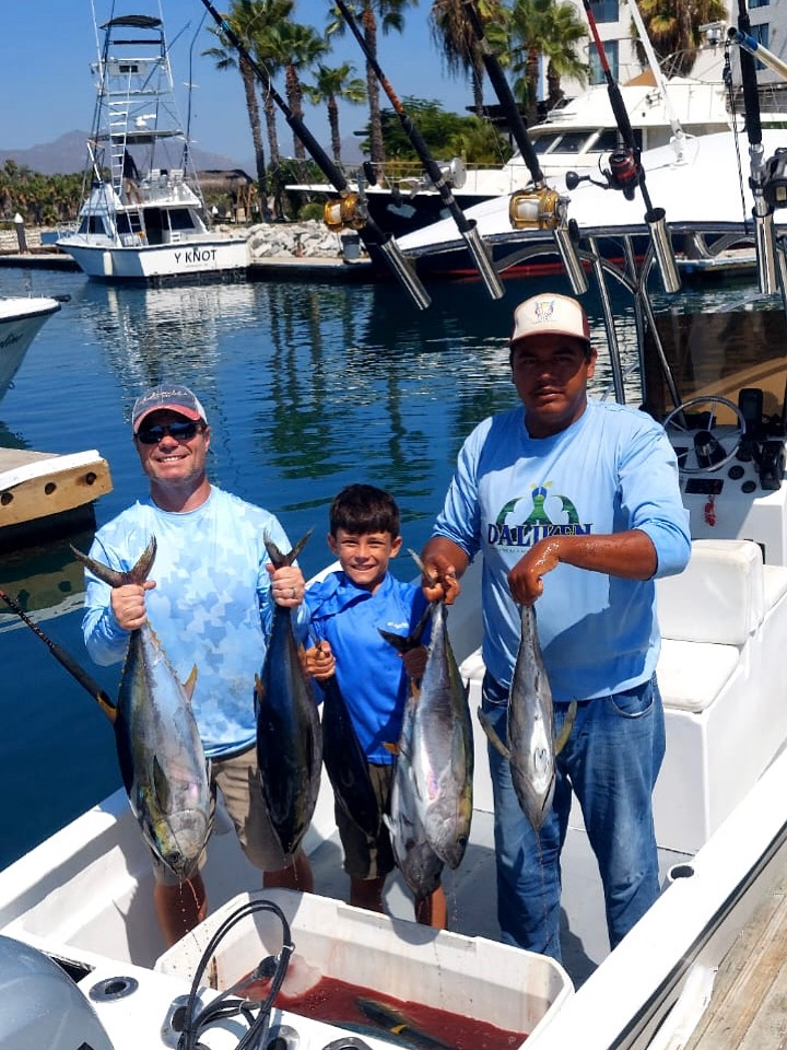 Striped marlin being released near Santa María Canyon – Catch and release fishing charter