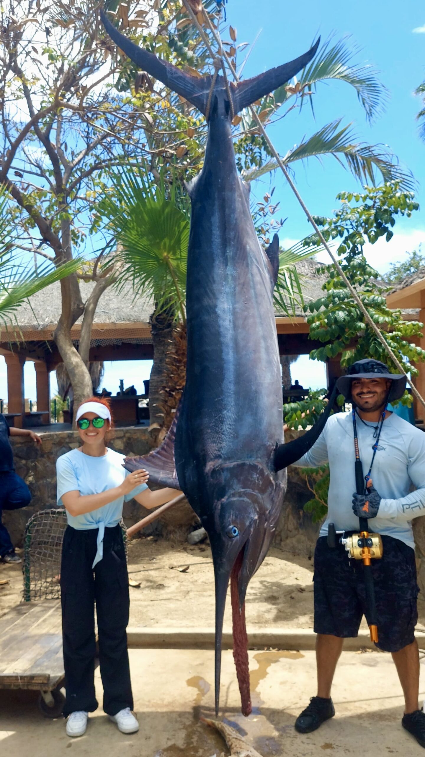 Black Marlin hanging in San José del Cabo