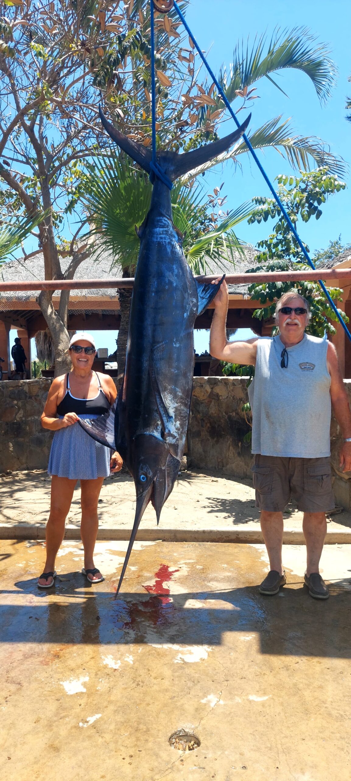 Black marlin ~300 lb at Gordo Banks with Daliken Sportfishing