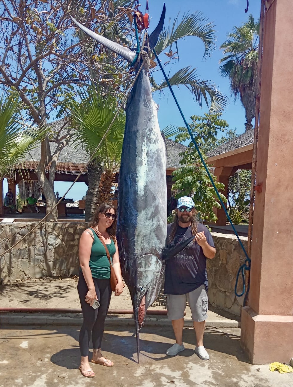 Black marlin 615 lb landed in San José del Cabo with Daliken Sportfishing