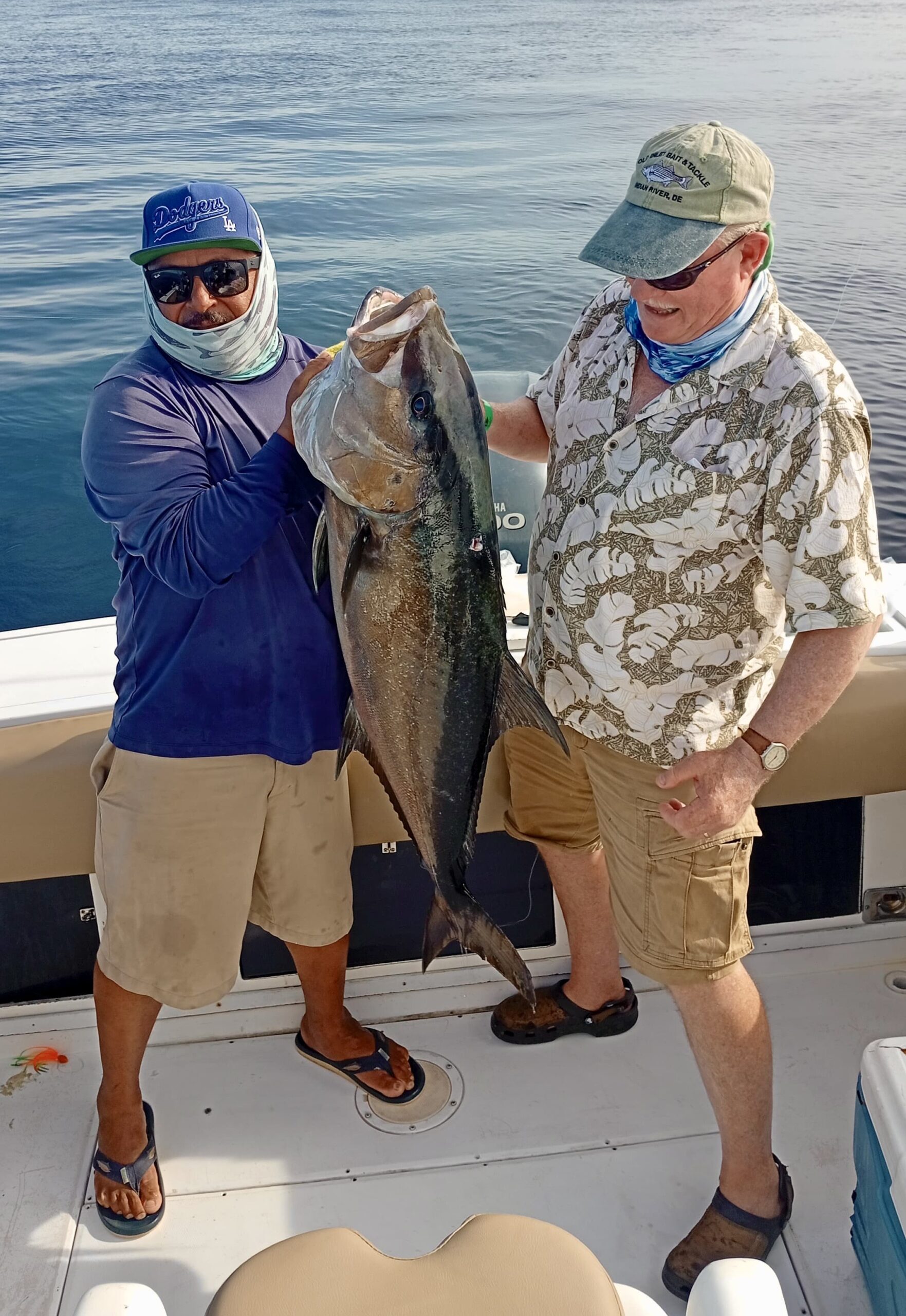 Large amberjack caught while bottom fishing in Cabo