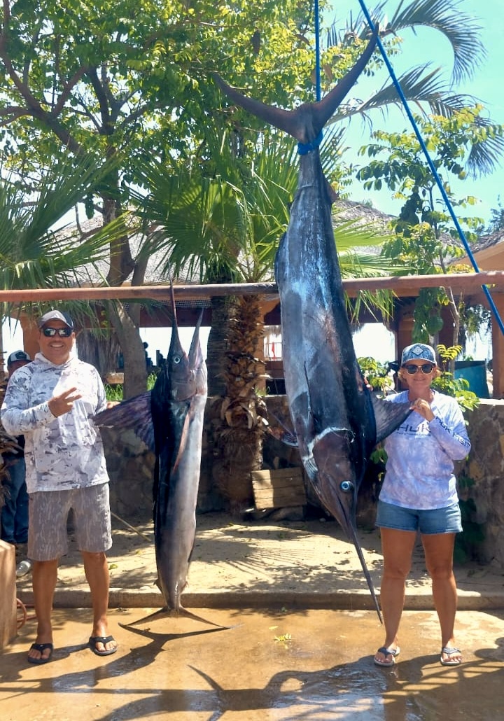 Striped and Blue Marlin trophies in Los Cabos