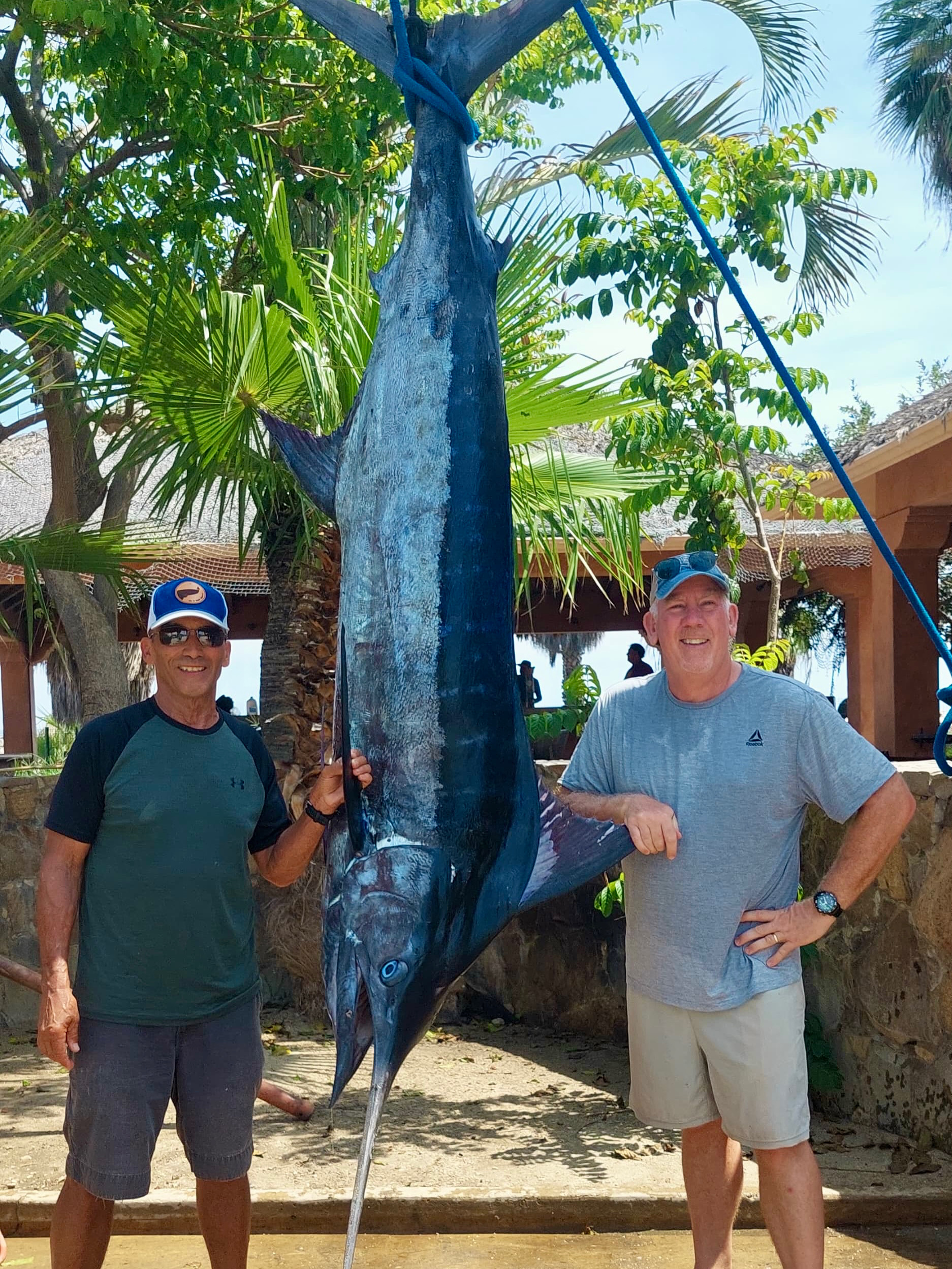 Blue marlin landed at Gordo Banks with Daliken Sportfishing crew