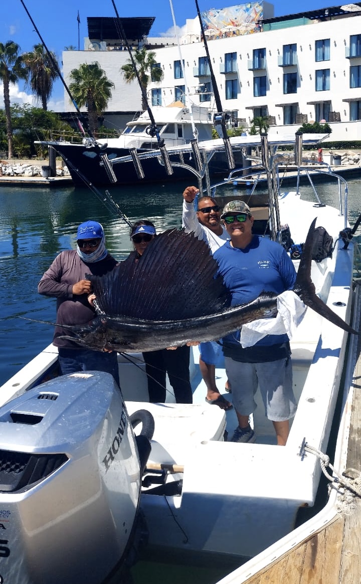 Sailfish caught on Daliken Sportfishing 26ft panga