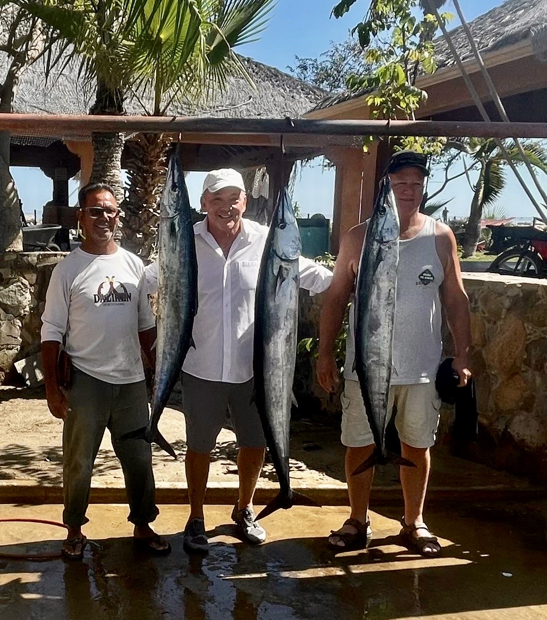 Close-up of fresh wahoo catch on deck at Iman Bank, Cabo region