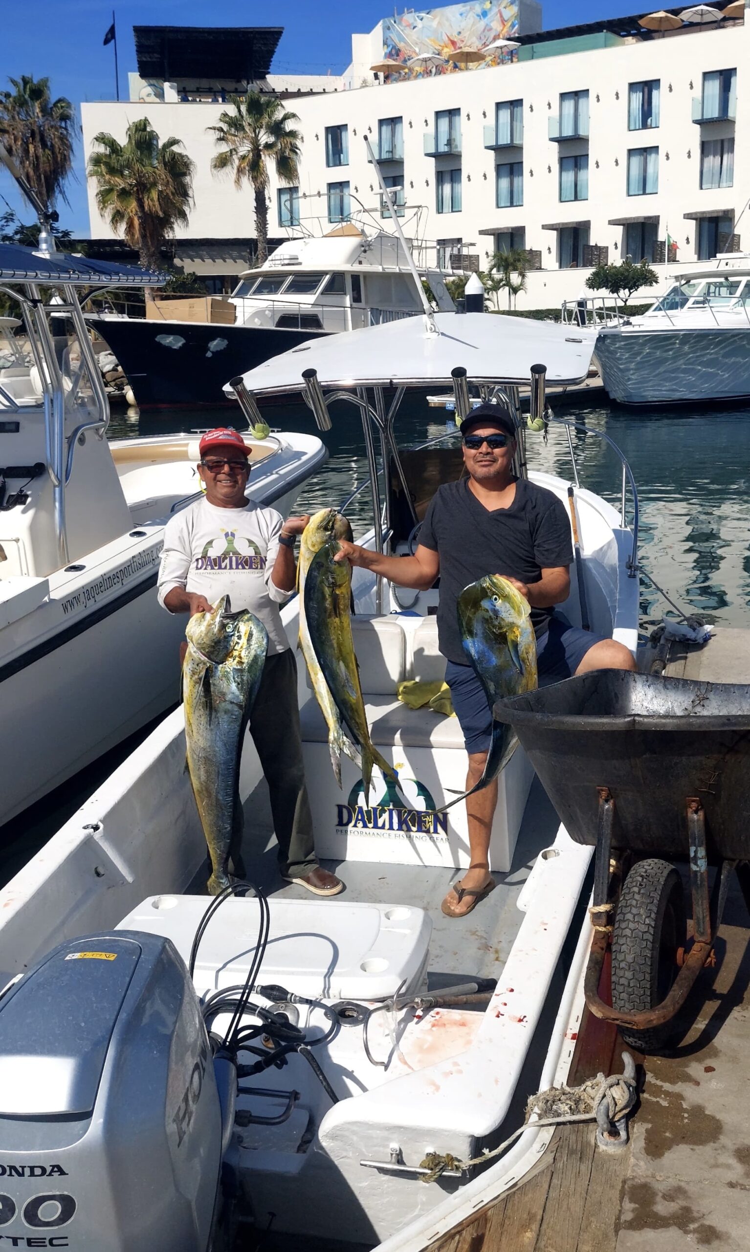 Daliken Sportfishing clients with 15 to 20 pound mahi mahi caught near La Fortuna San José del Cabo