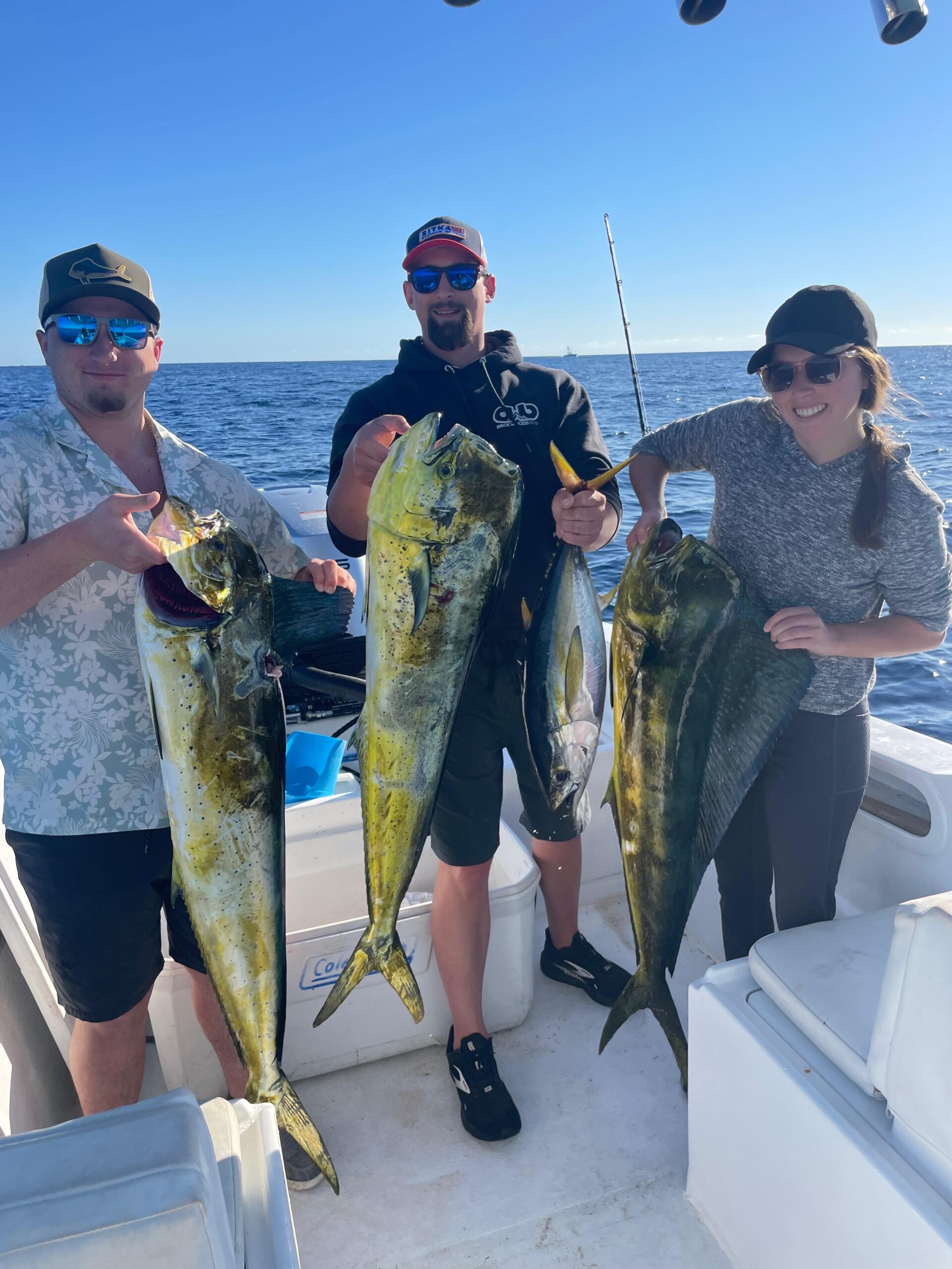 Fresh mahi mahi dorado catch aboard Daliken Sportfishing boat