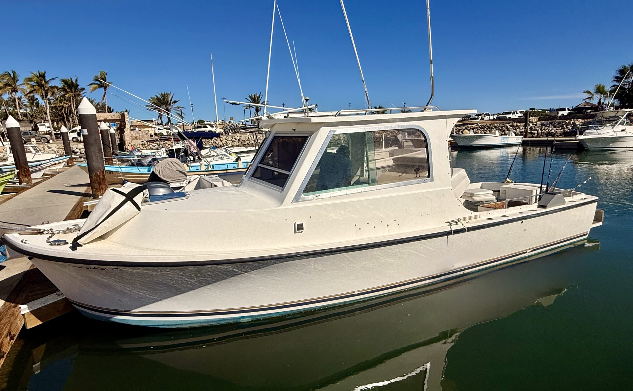 Daliken Sportfishing 28ft all inclusive fishing promotion San José del Cabo