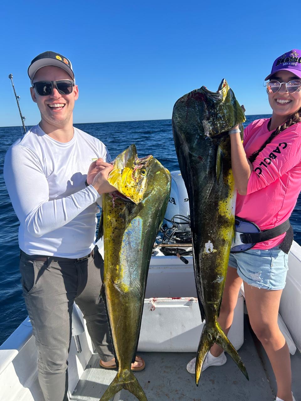 Fresh mahi mahi dorado caught on a private panga fishing charter in Los Cabos