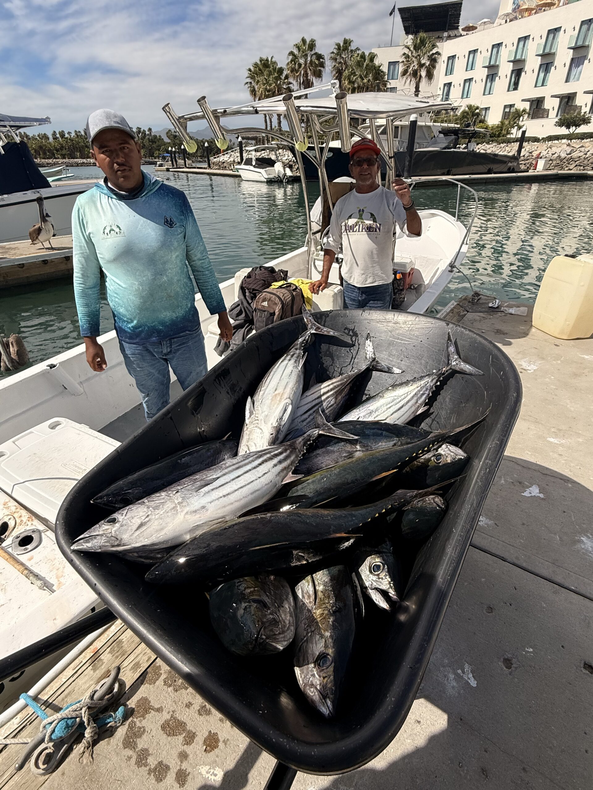Daliken Sportfishing customers with tuna catch in Los Cabos offshore fishing report