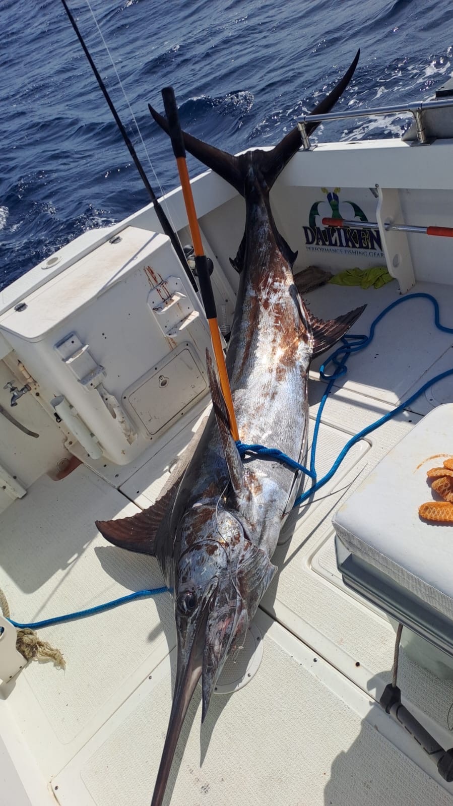 Super Panga 26ft offshore fishing trip with Daliken Sportfishing in Los Cabos, clients and marlin photo