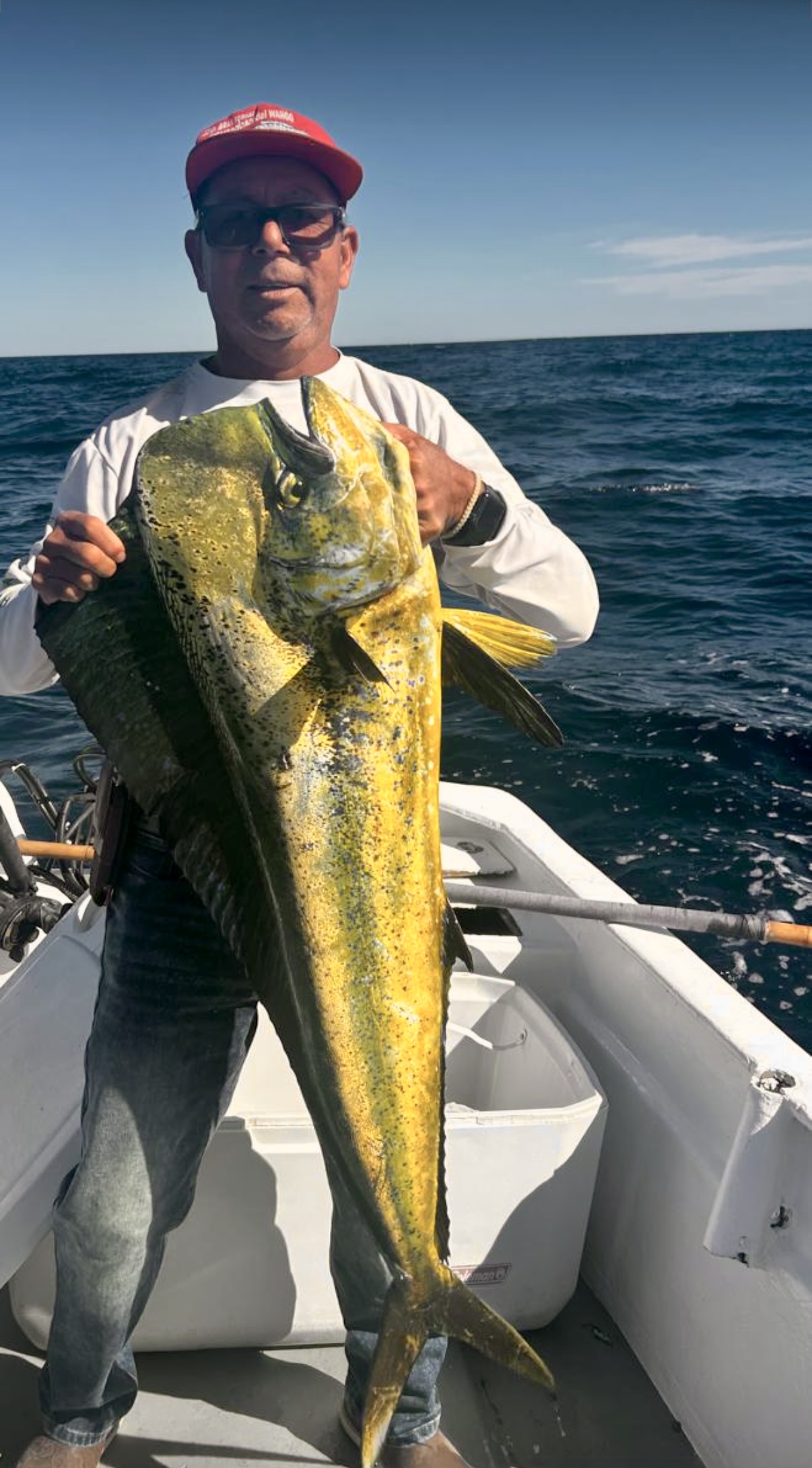 Customer holding dorado mahi mahi after a successful fishing morning in San José del Cabo