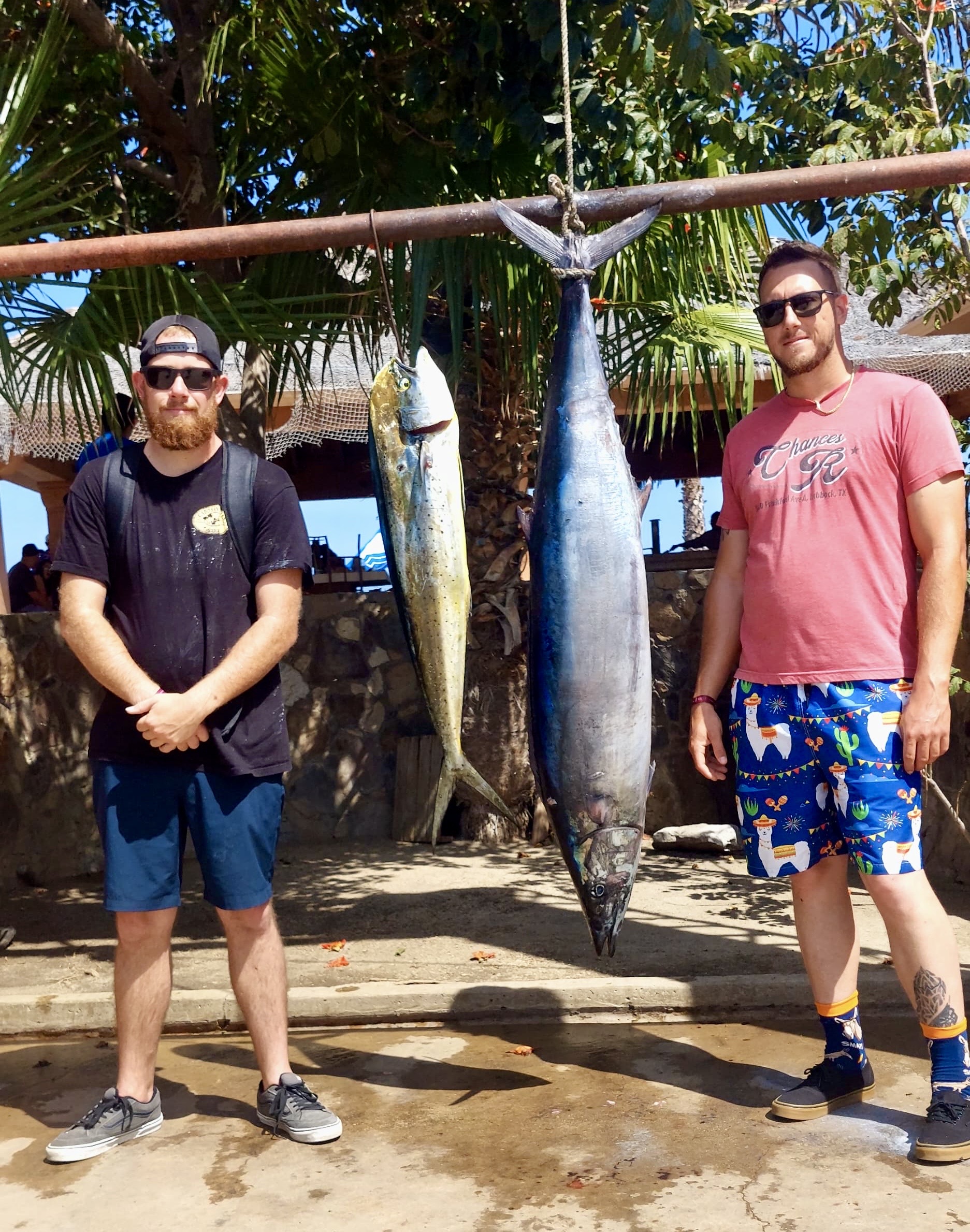 Big fish catch Sea of Cortez Los Cabos