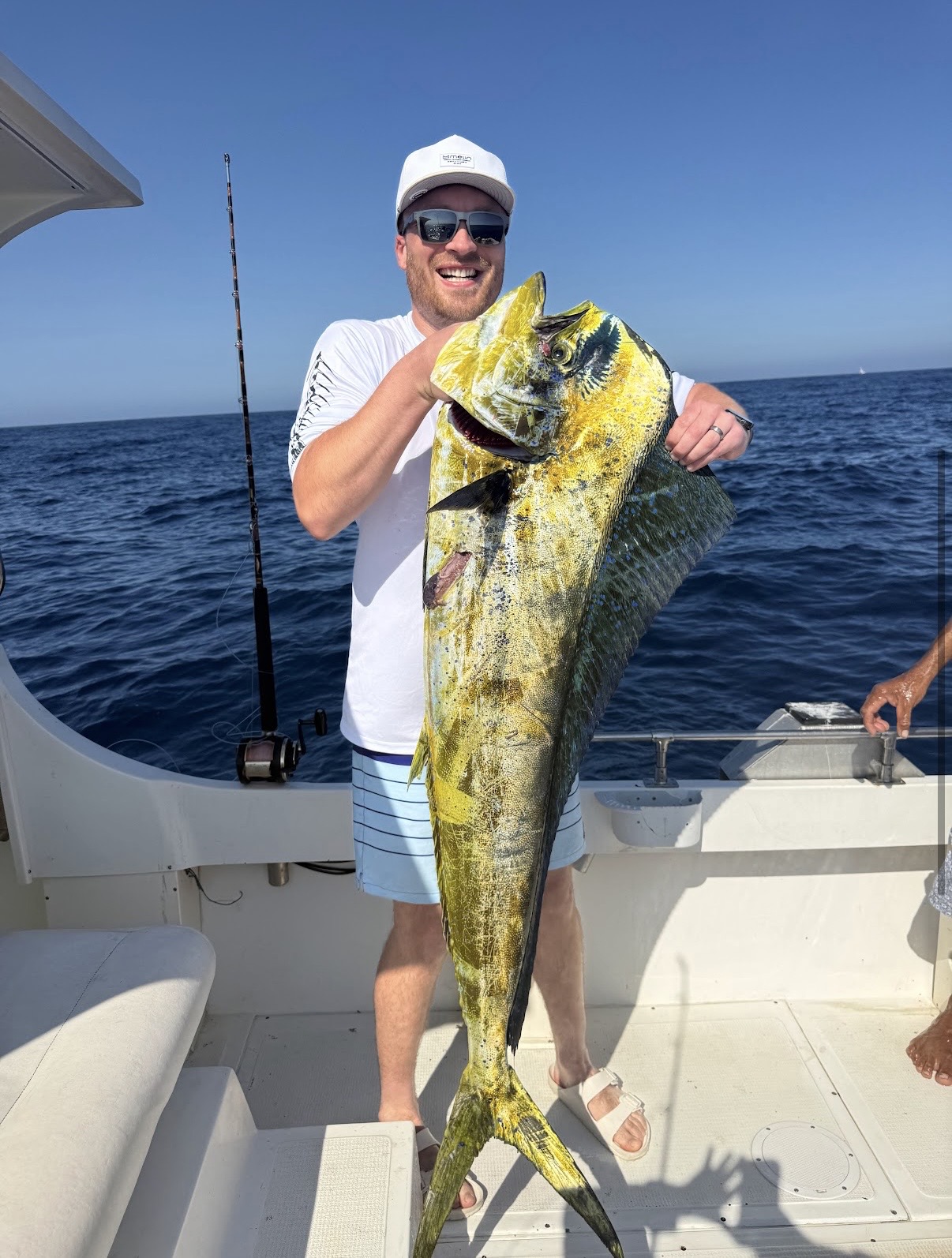 Dorado mahi mahi caught at Gordo Banks San Jose del Cabo